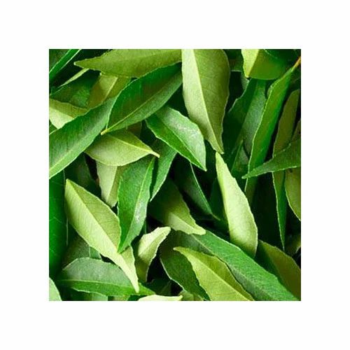 Natural Curry Leaves
